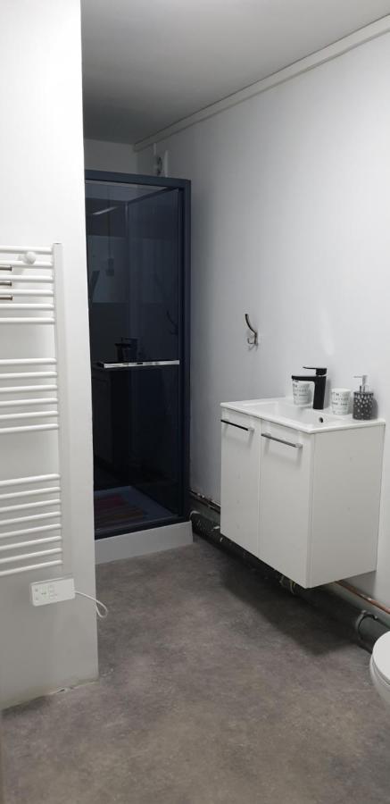 Studio, Chambres, Appartement, Gite Vendegies-sur-Ecaillon Exteriör bild
